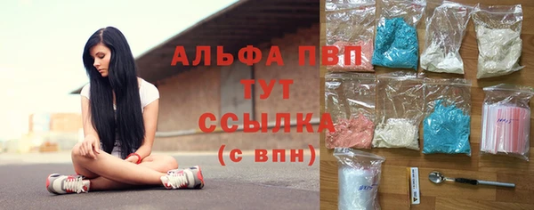 спиды Кукмор