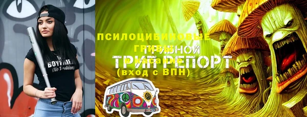 ALPHA PVP Куйбышев